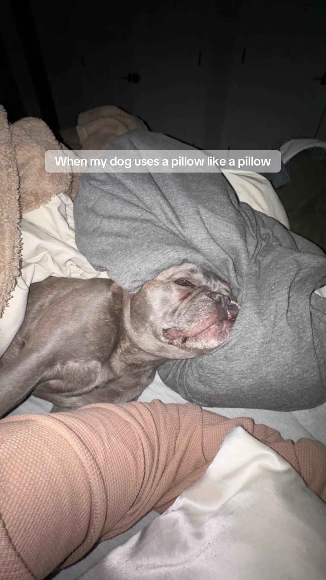 @Louis