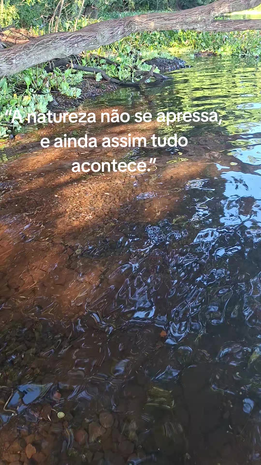 @Roseli Barbosa