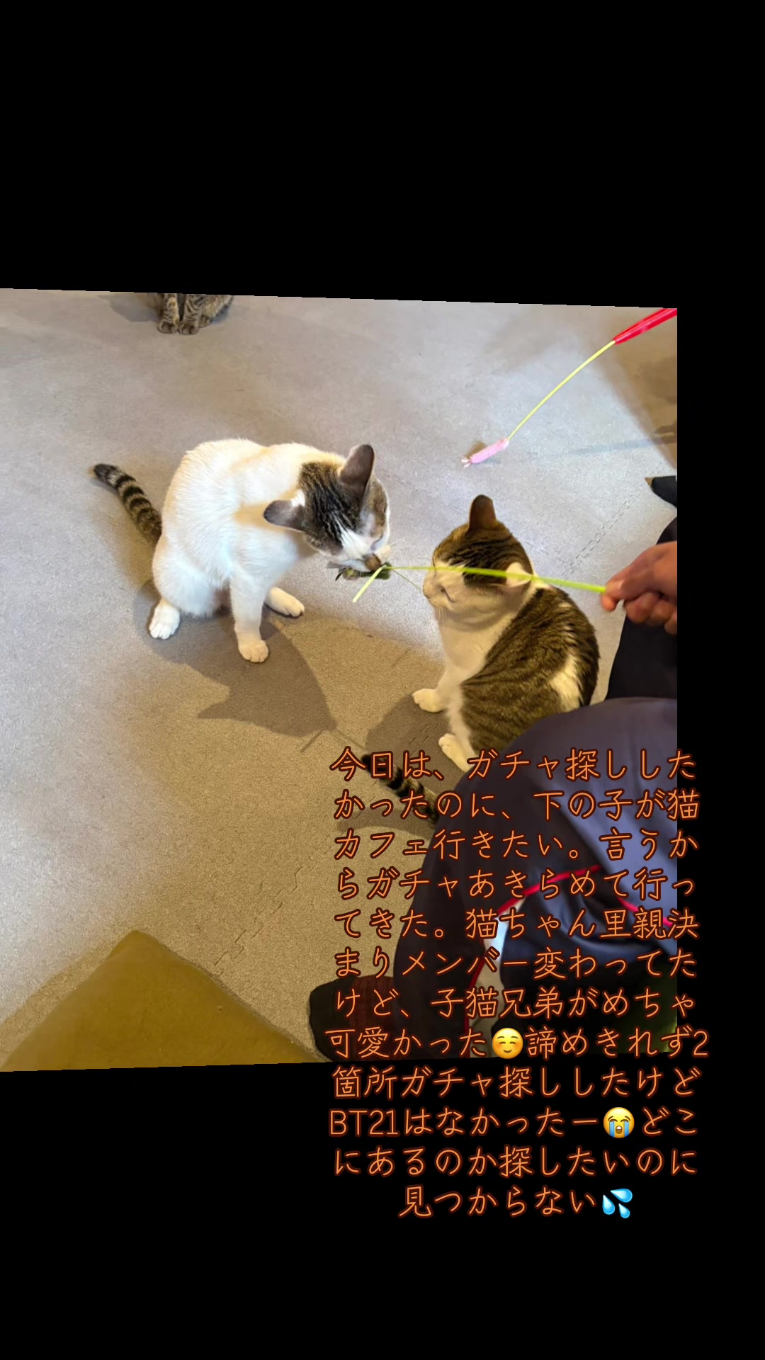 @サラ♡グキ🐰
