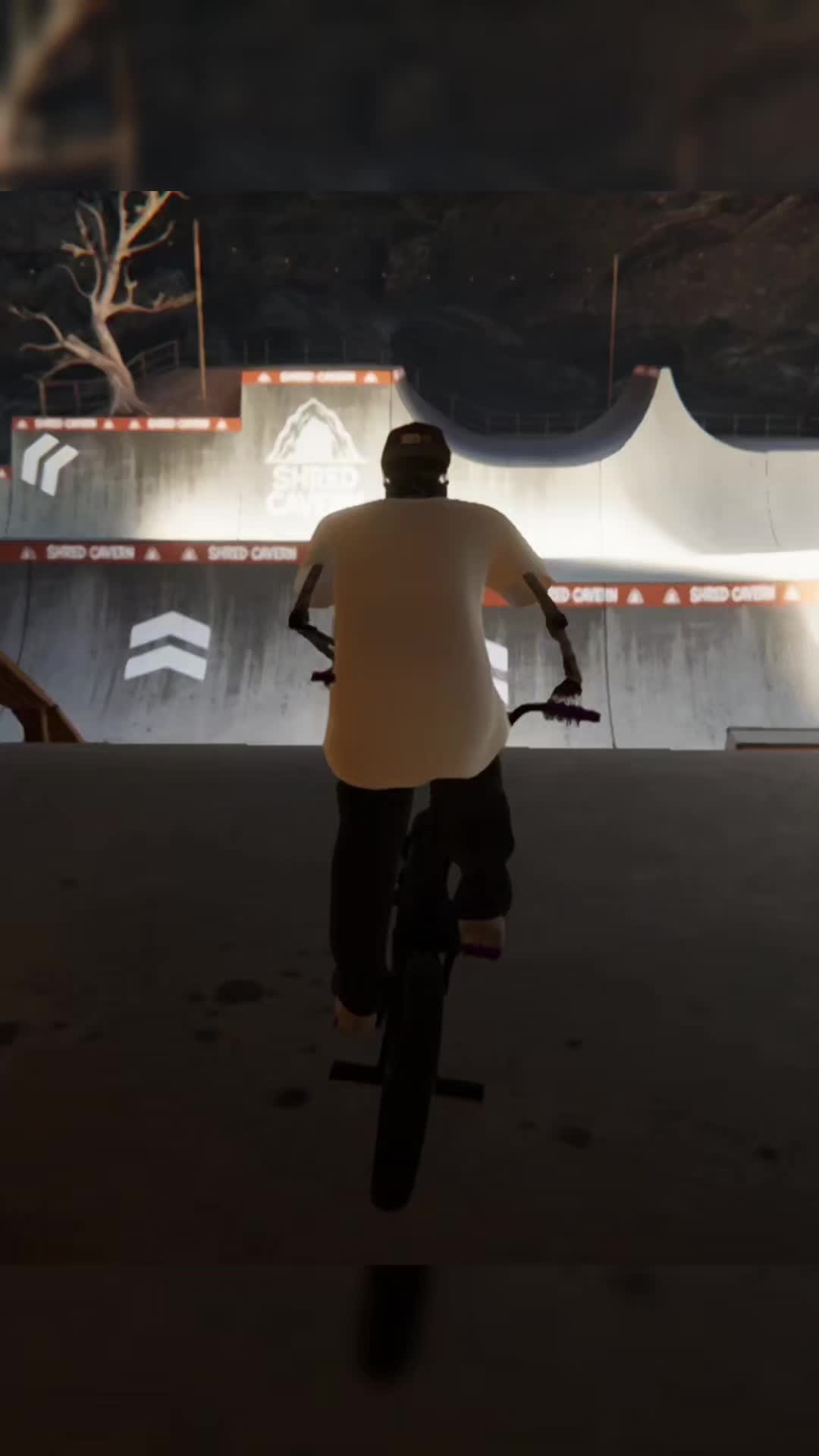 @SynfuhlBMX