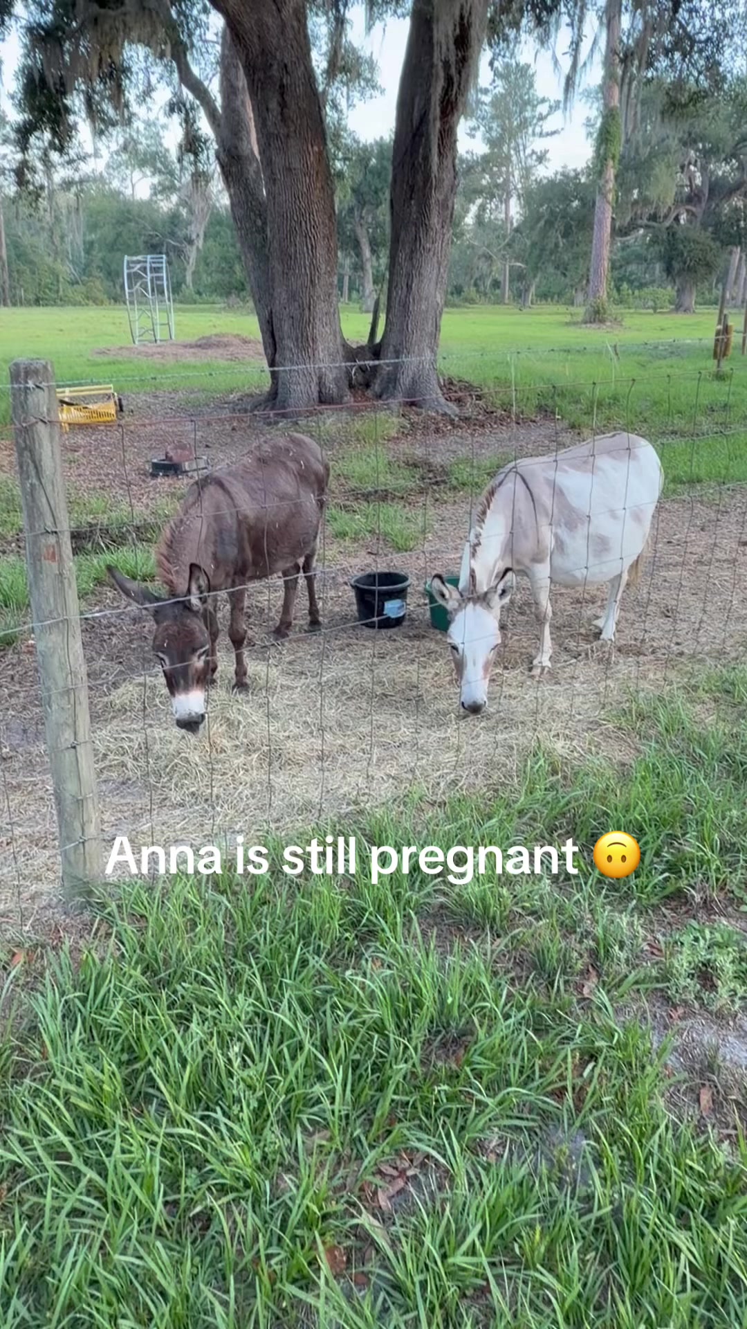 @Kelley Farms
