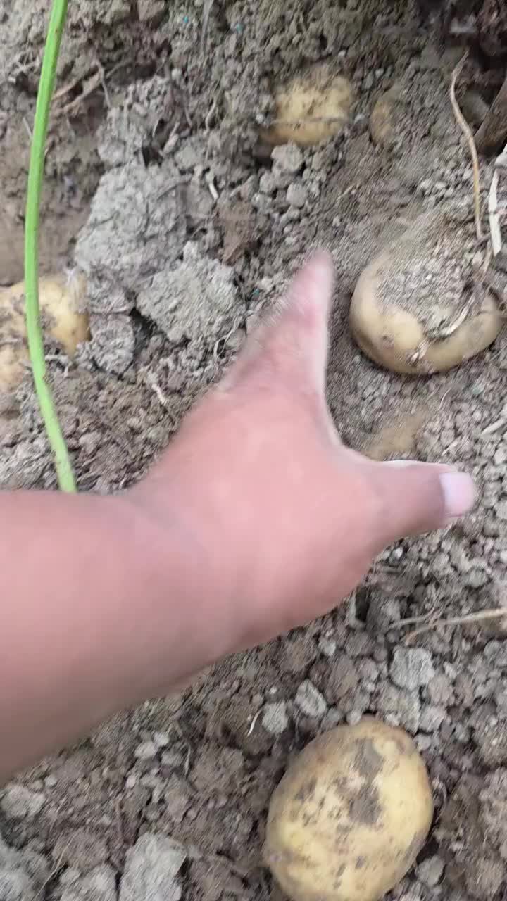 @𝙇𝙪𝙞𝙞502👨🌾