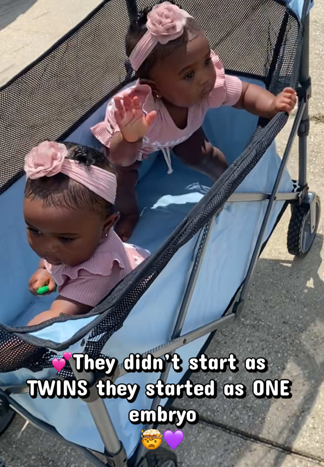 @twintasticpartyofsix