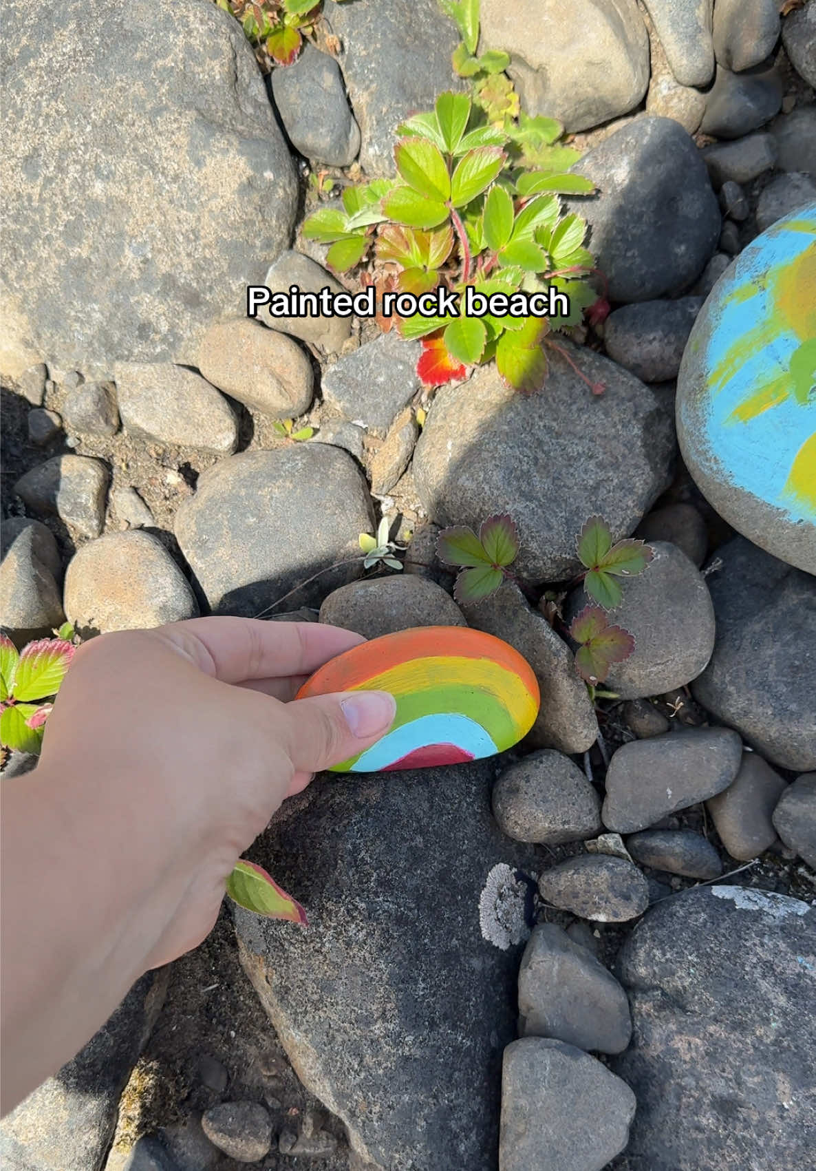 @Emily🌼