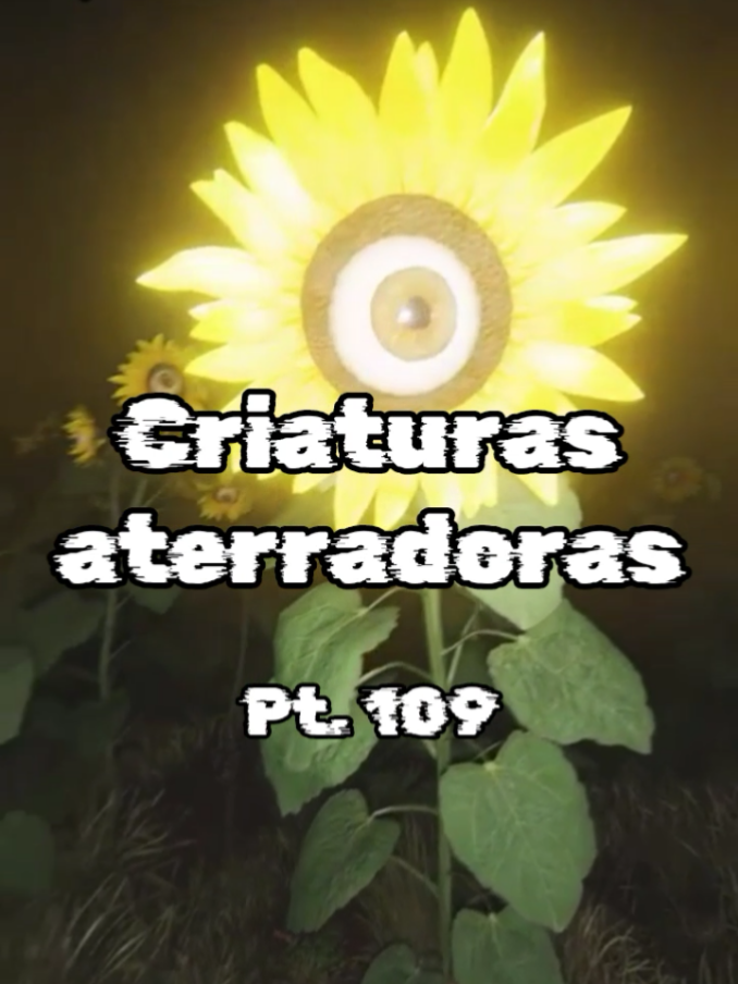 @Categorías Máster