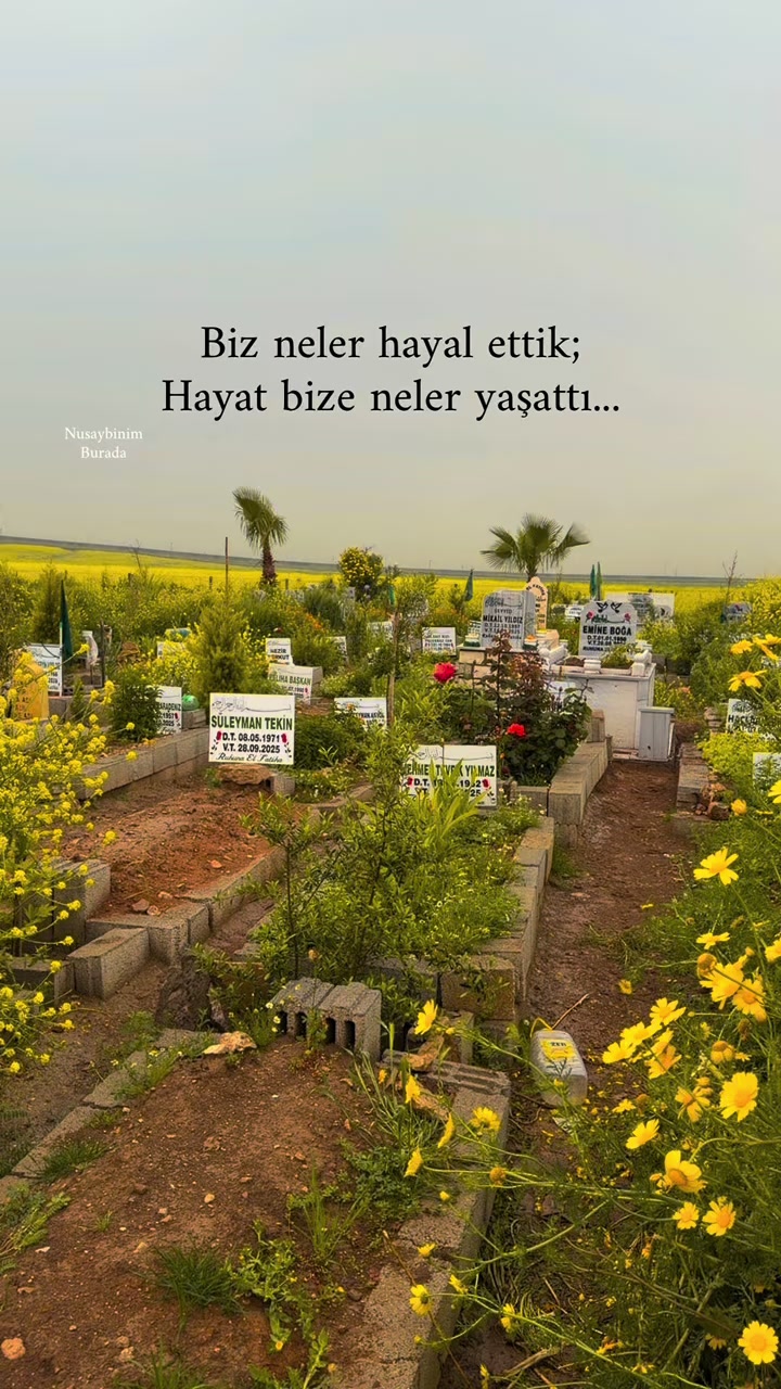 @Nusaybin Burada 📍