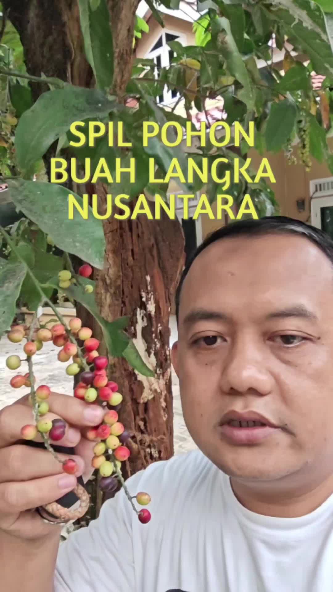@asyukron