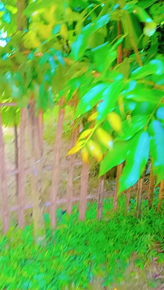 @Atabul Khan