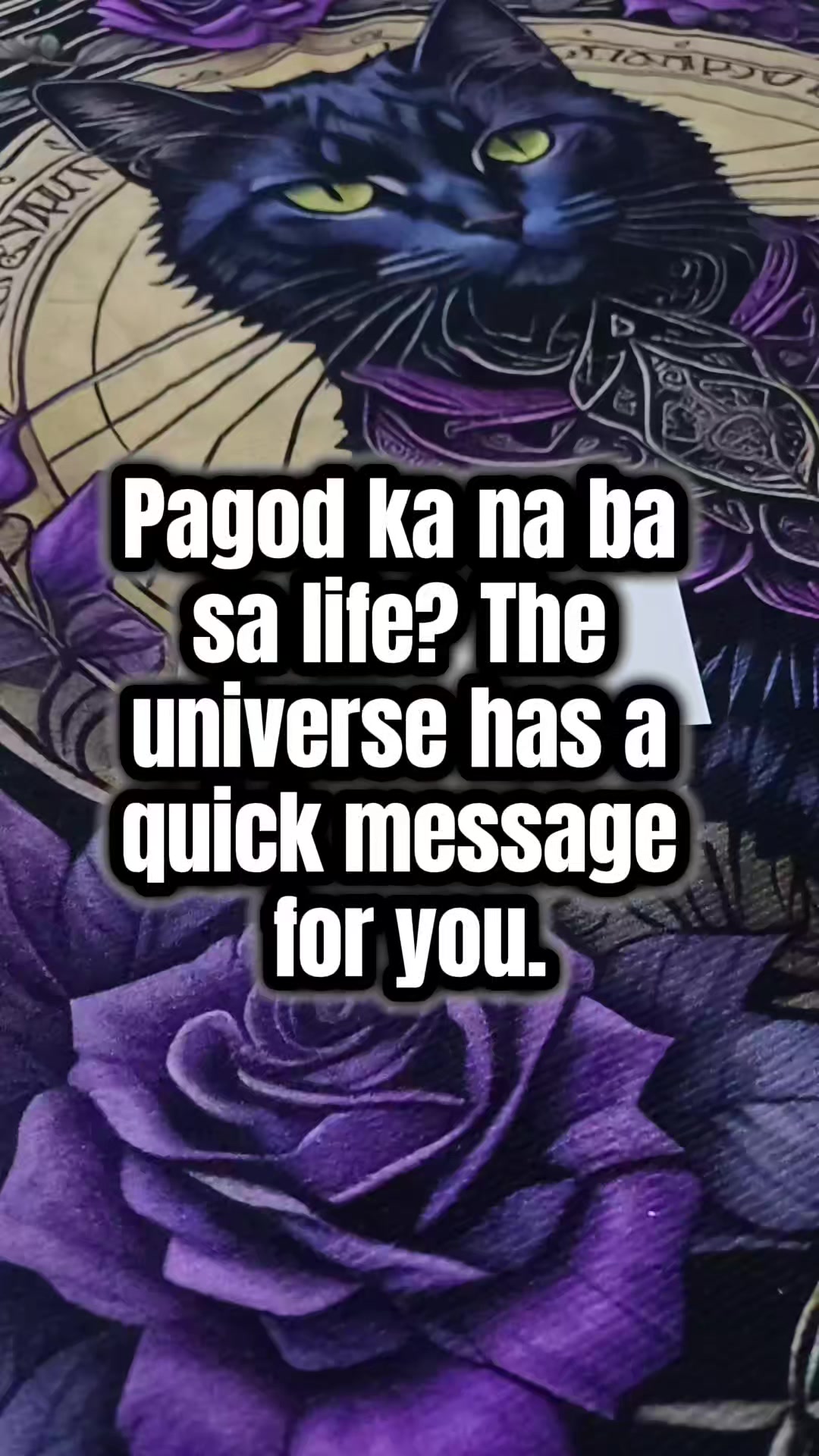 @Marie Tarot Reader