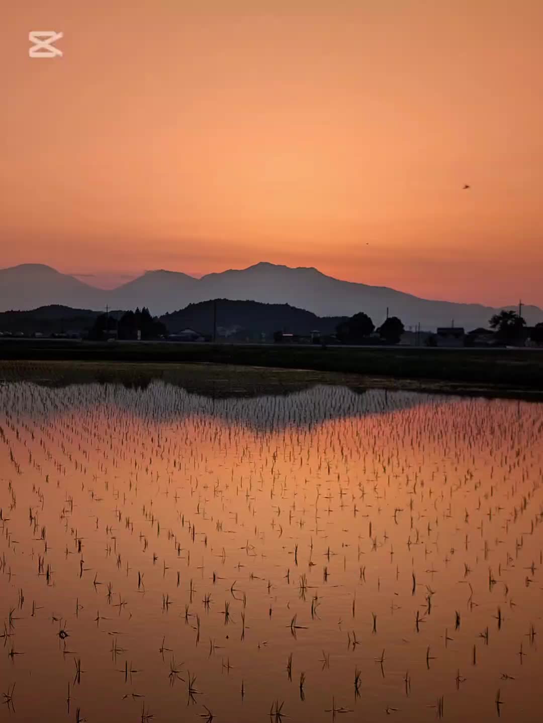 @バネ