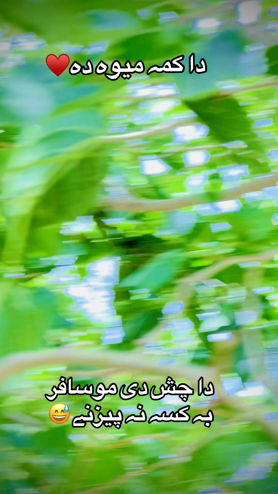 @(سعیدباچا🪽🧿