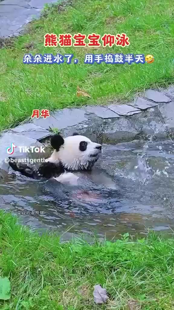 @Stella Poh733