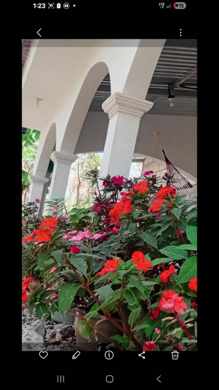 @mariajesica