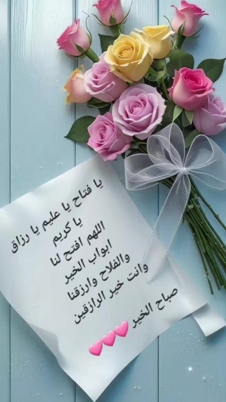 @ياسمين التيكتوك