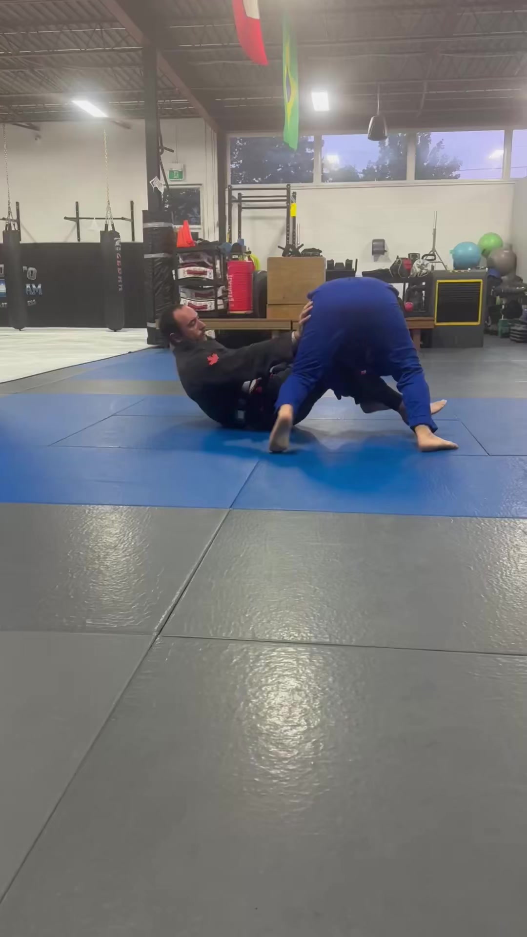 @ሽፈራው ዘለቀ