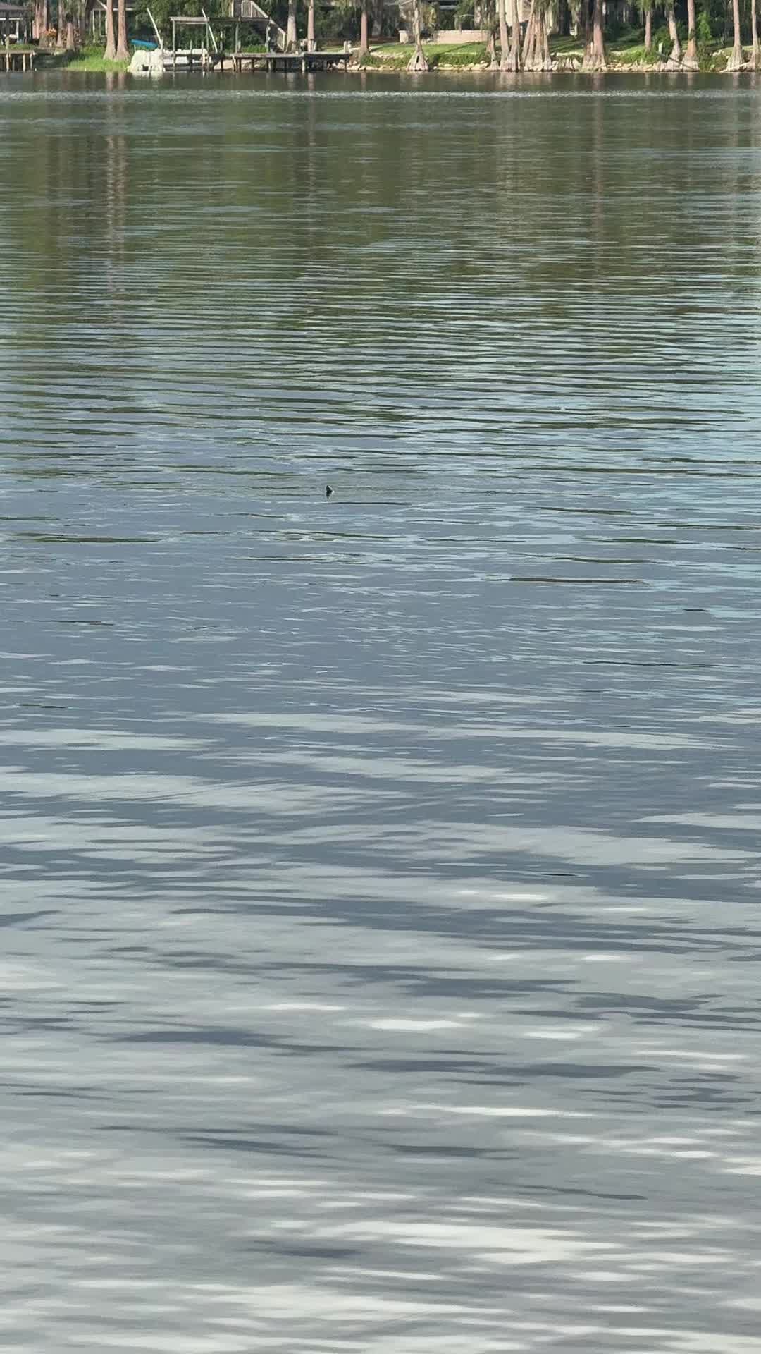 @theSavviMom