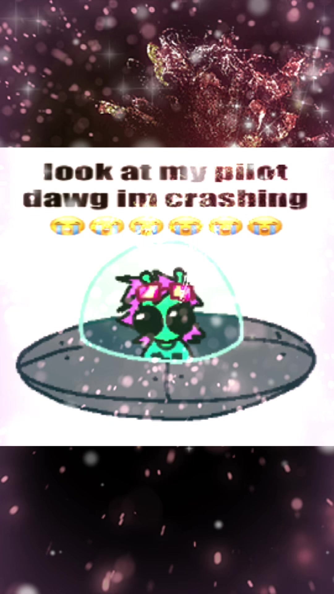 @BeeLikesBees