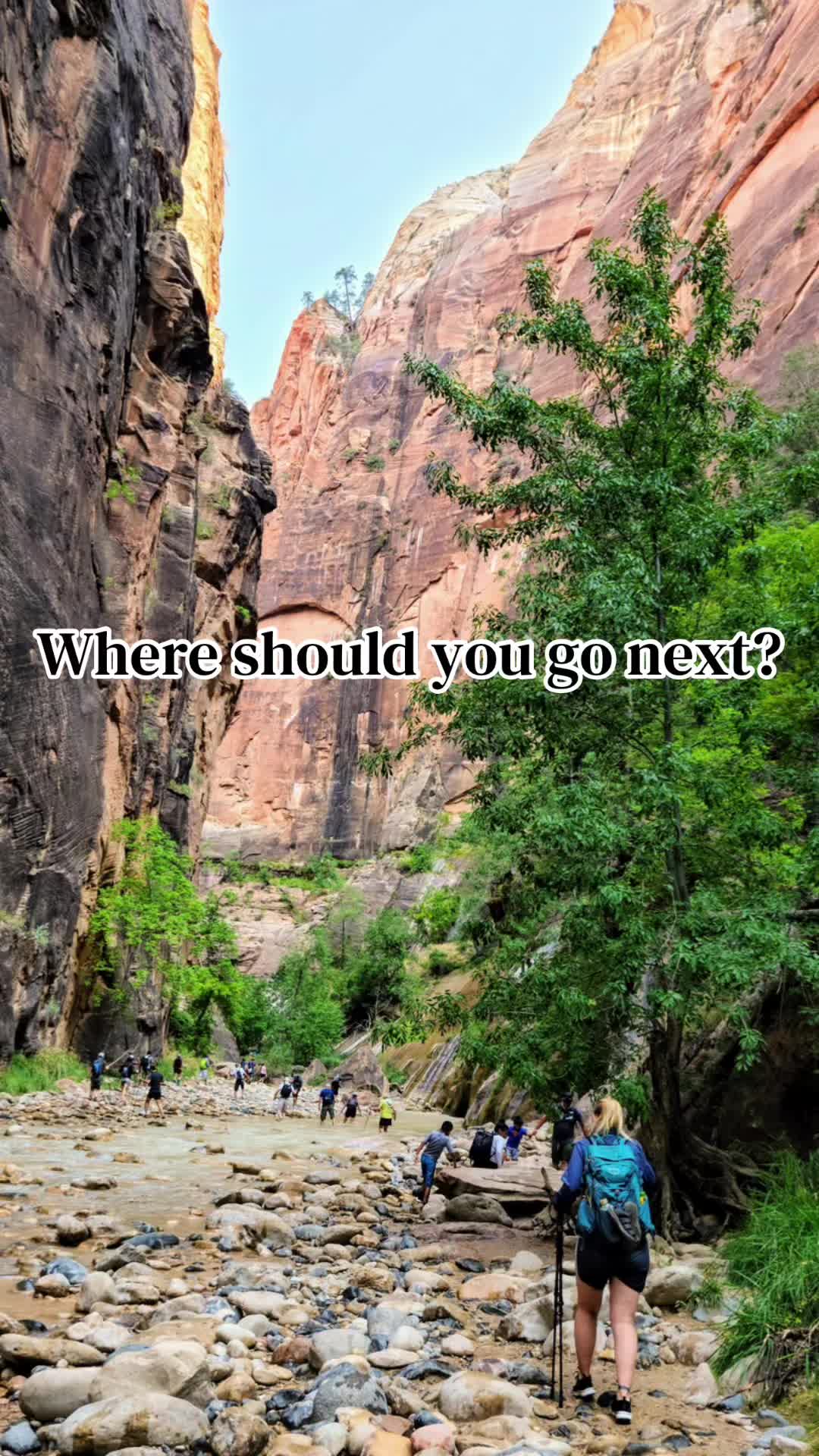 @thehikingmuse