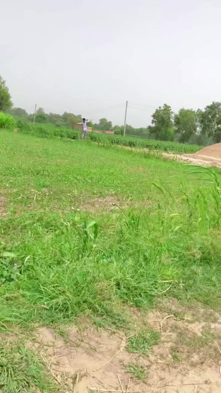 @rajveer 09