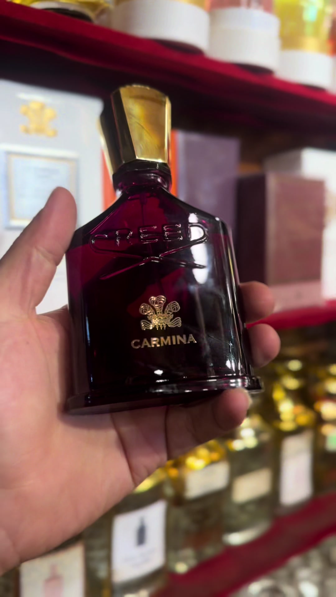 @ZCparfums ✅ By شوشو