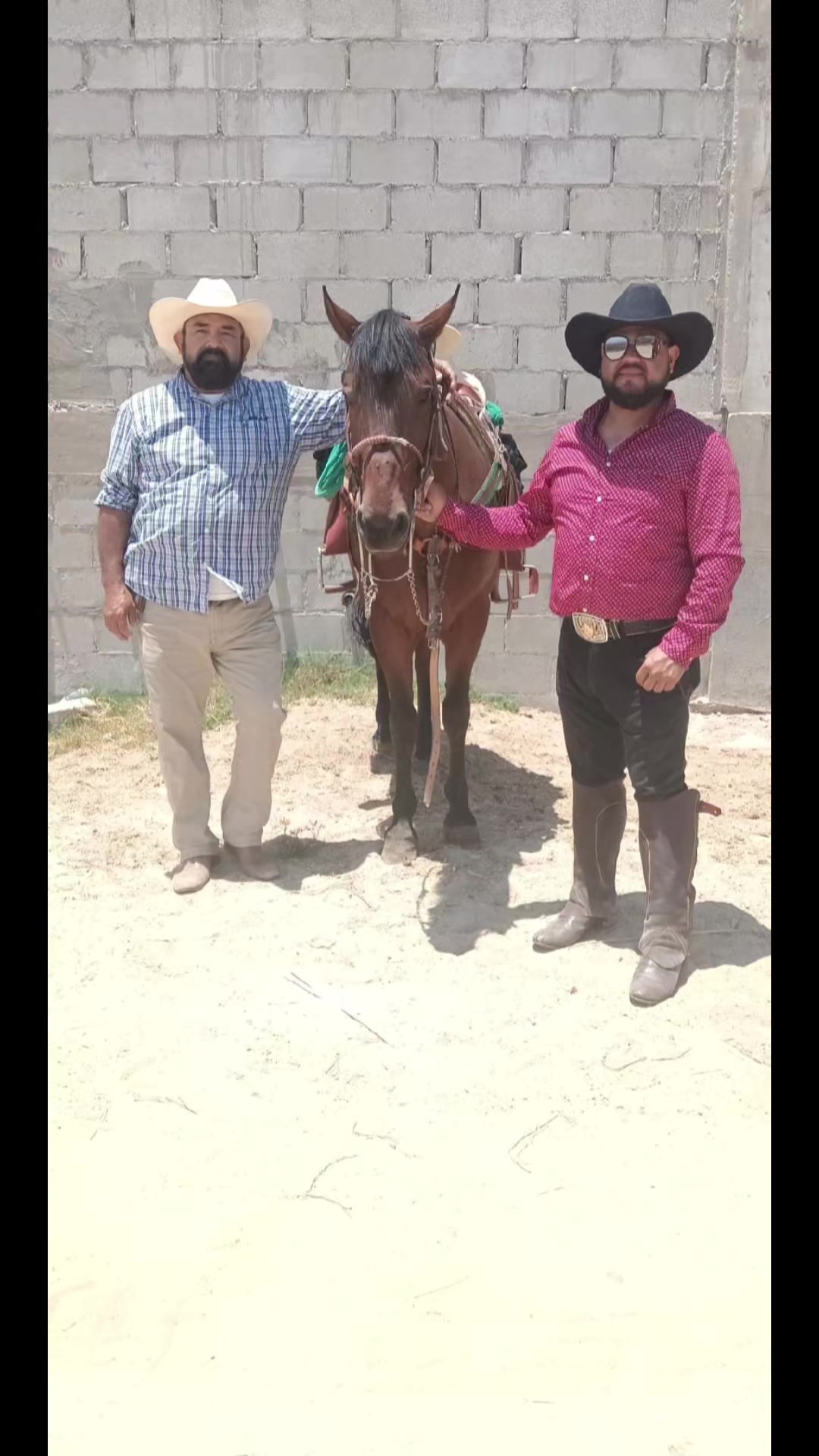 @✨🐎HÈCTOR🐎✨