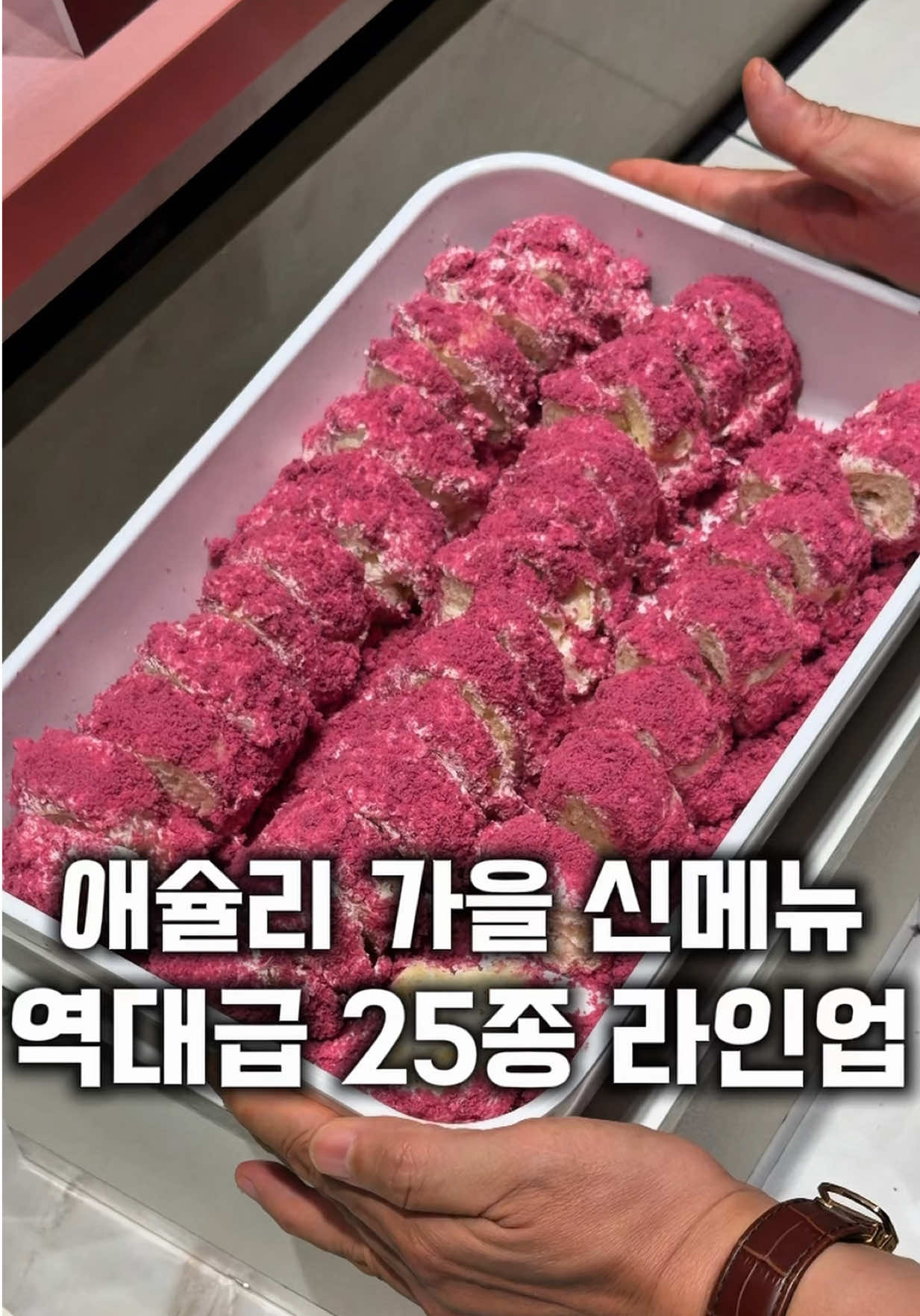 @먹보패밀리