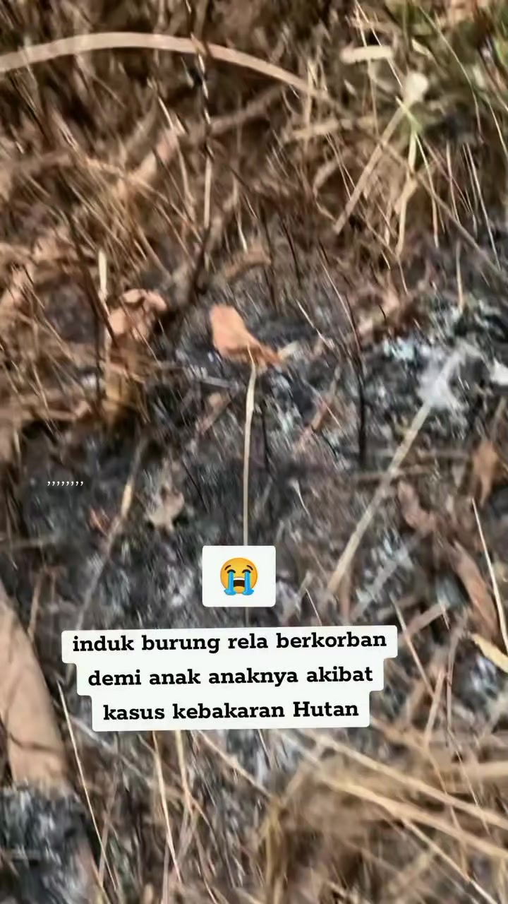 @في قائمة الرائج
