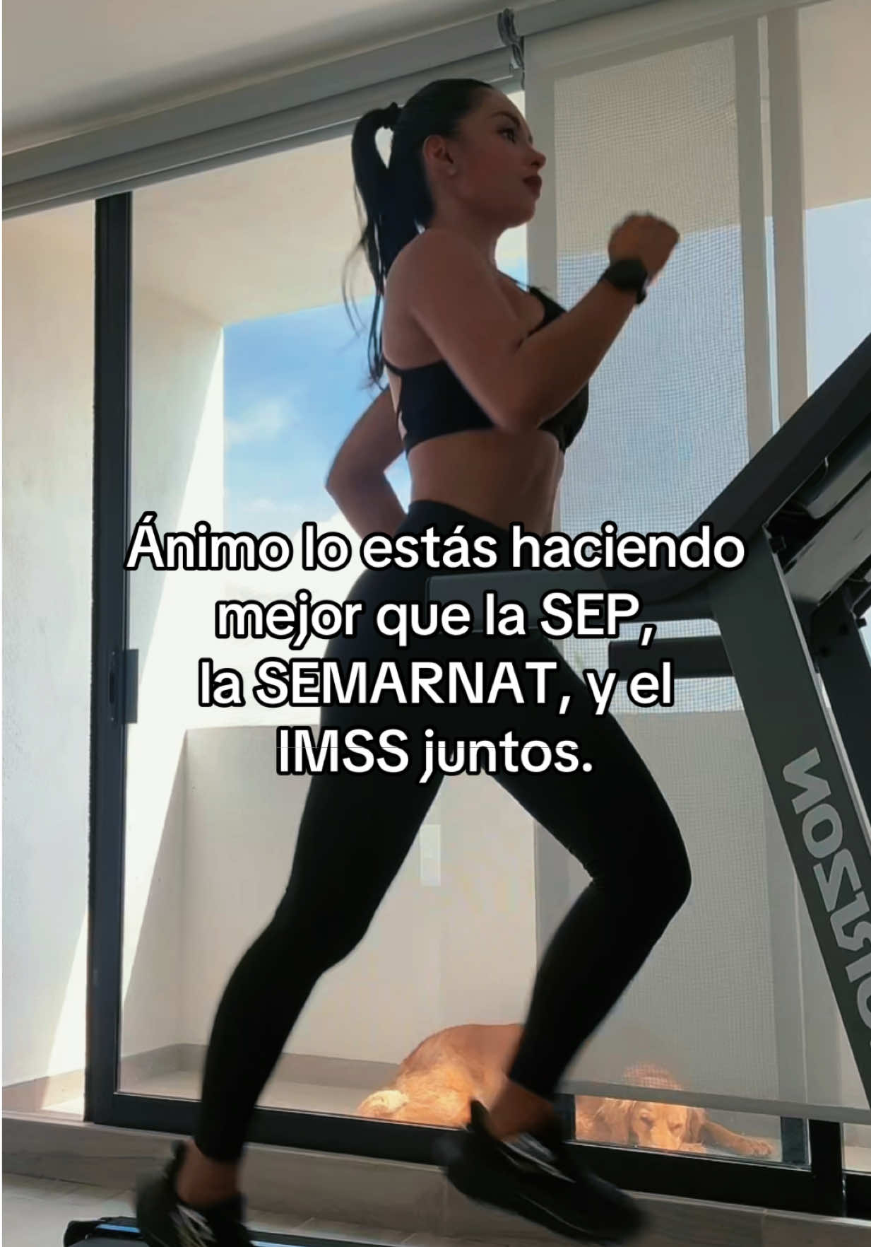 @Marisol Calva
