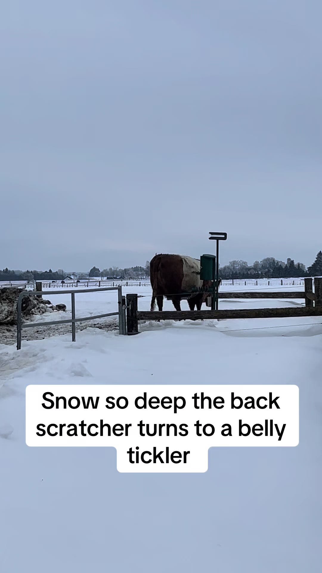 @Van Zandwyk farms