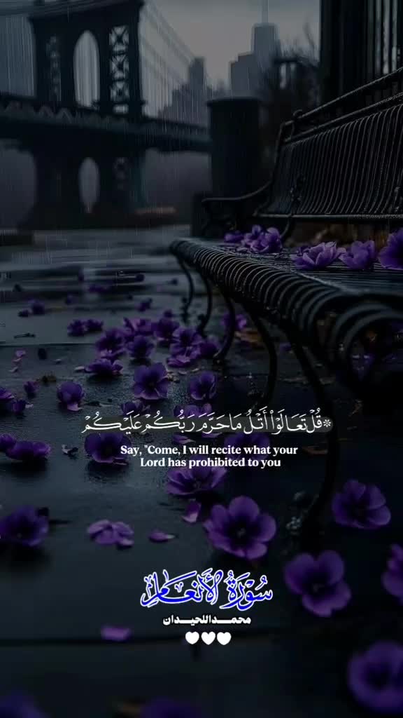 @Mohsin khan🇧🇩