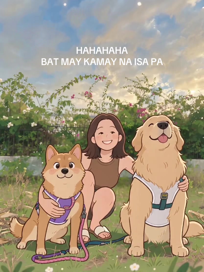 @aljerienianne