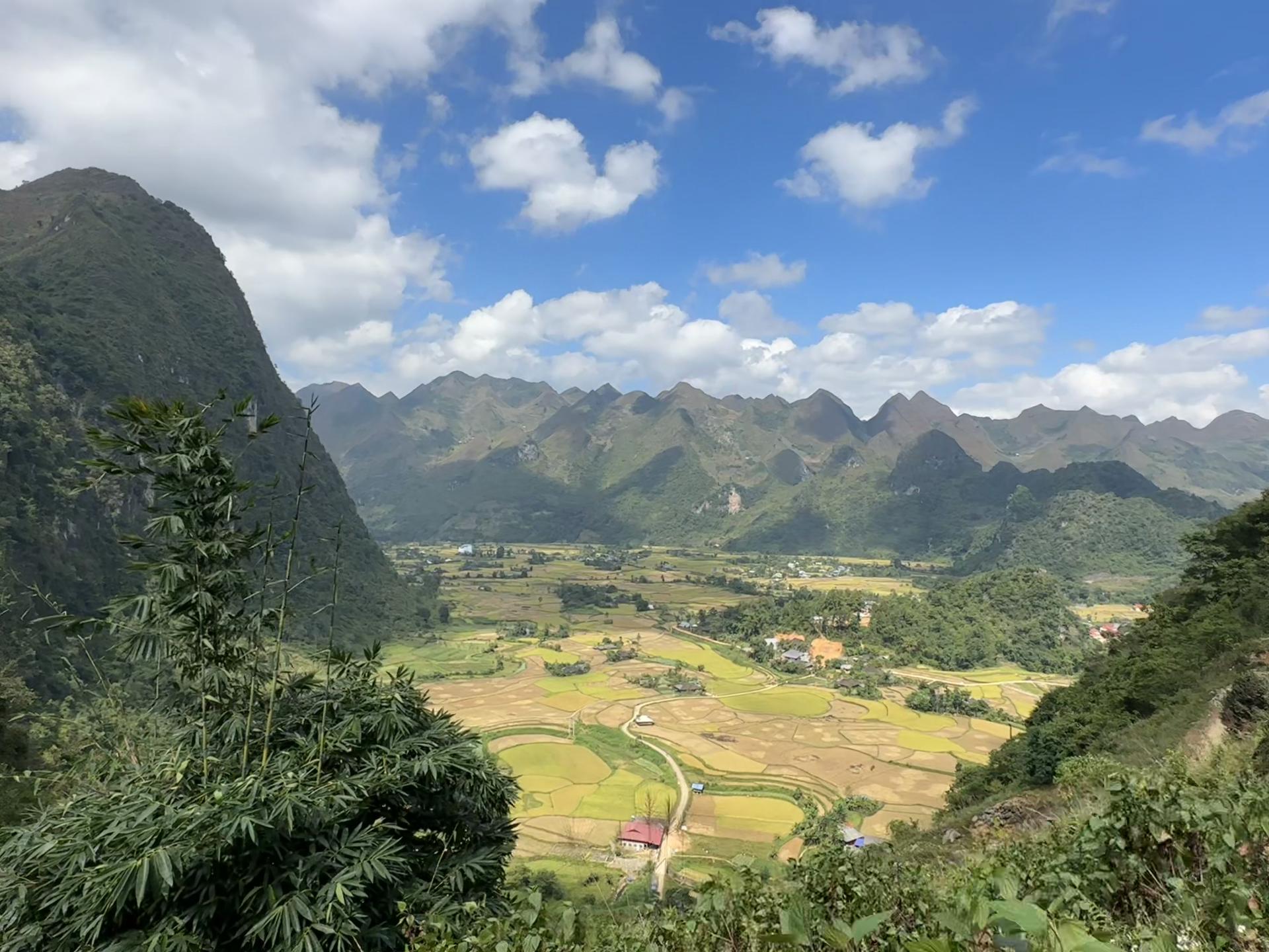 @LÍU 🇻🇳☣️