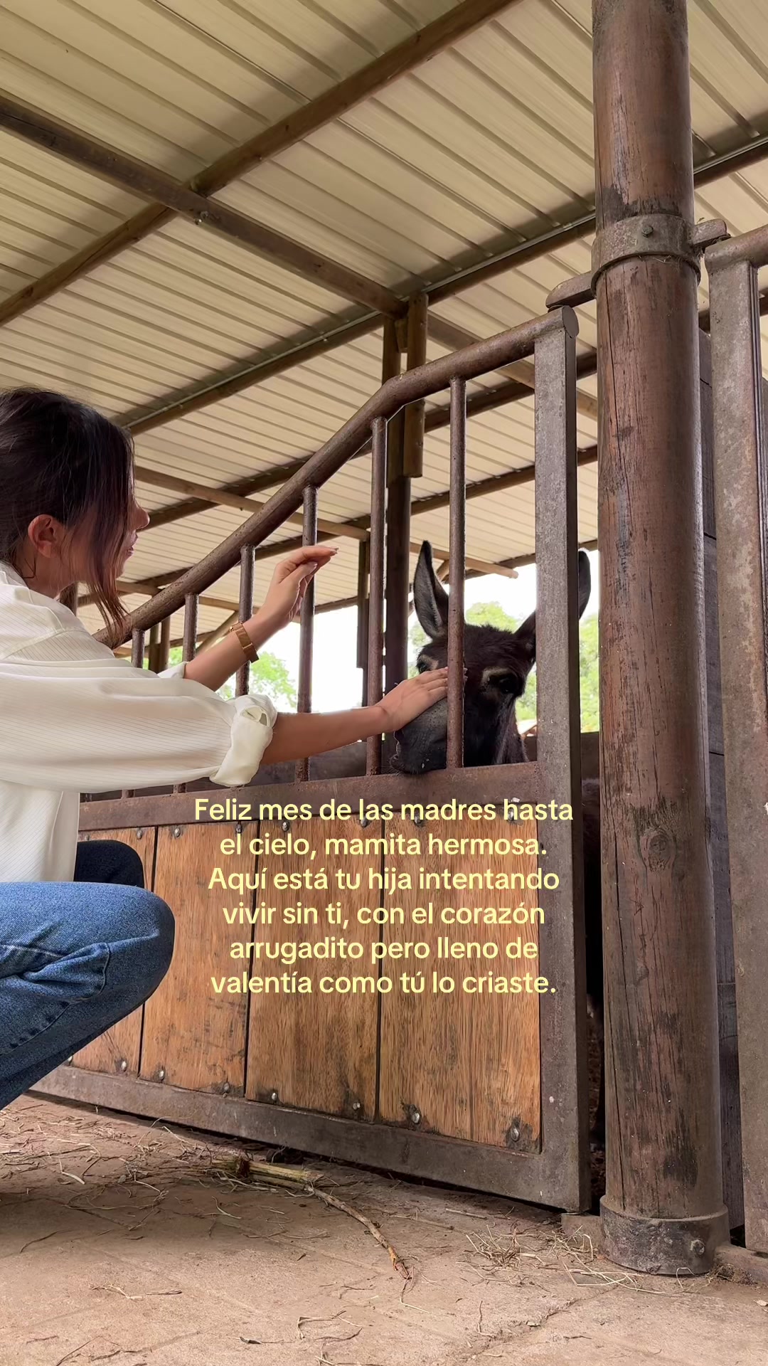 @Valescritos