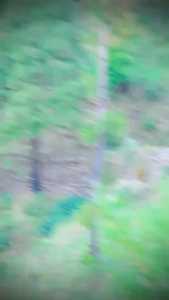 @🦋آفتاب یوسفزئی🦋333