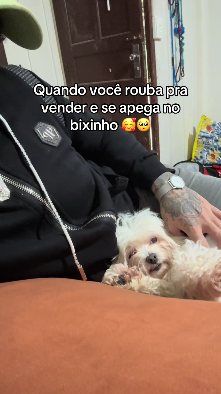 @FelineSex_Ofc