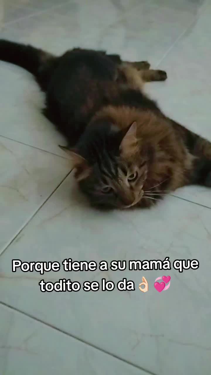 @Mary&Joy🐾❤️