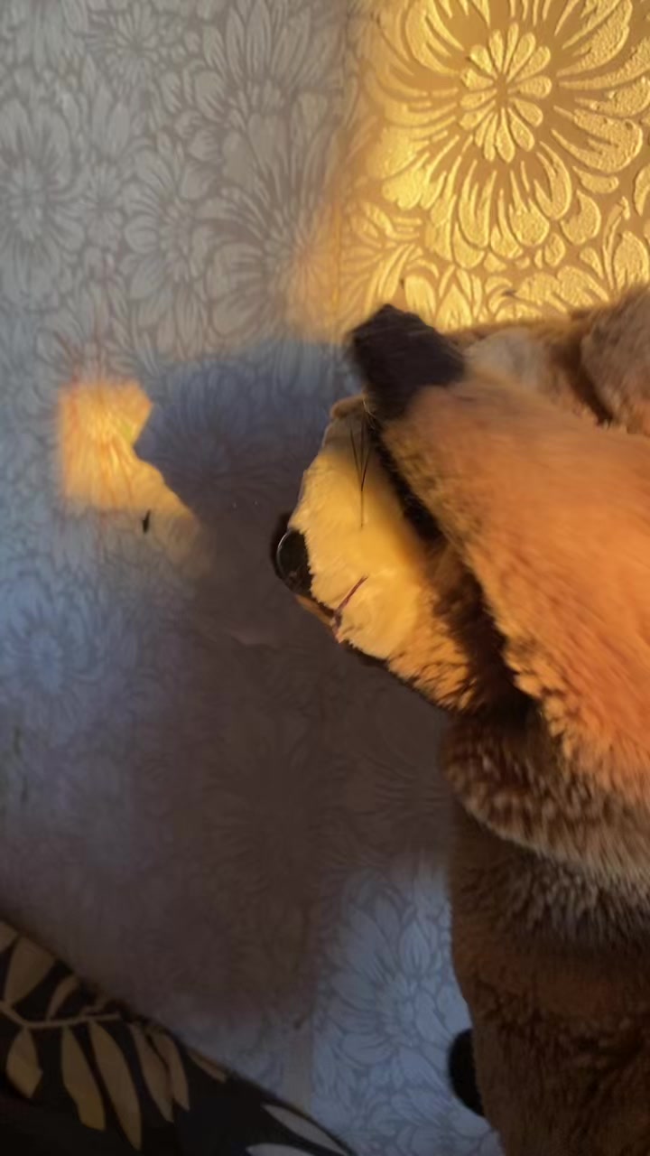 @ʙᥲяᛪ༙