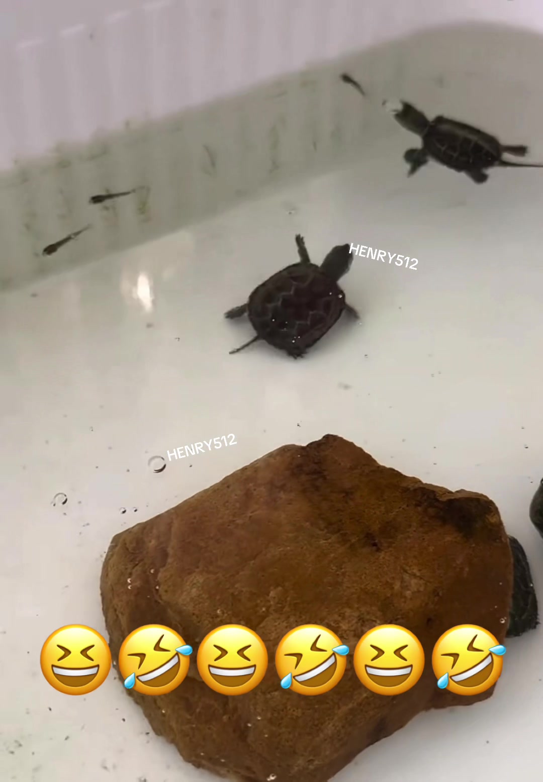@HENRY512