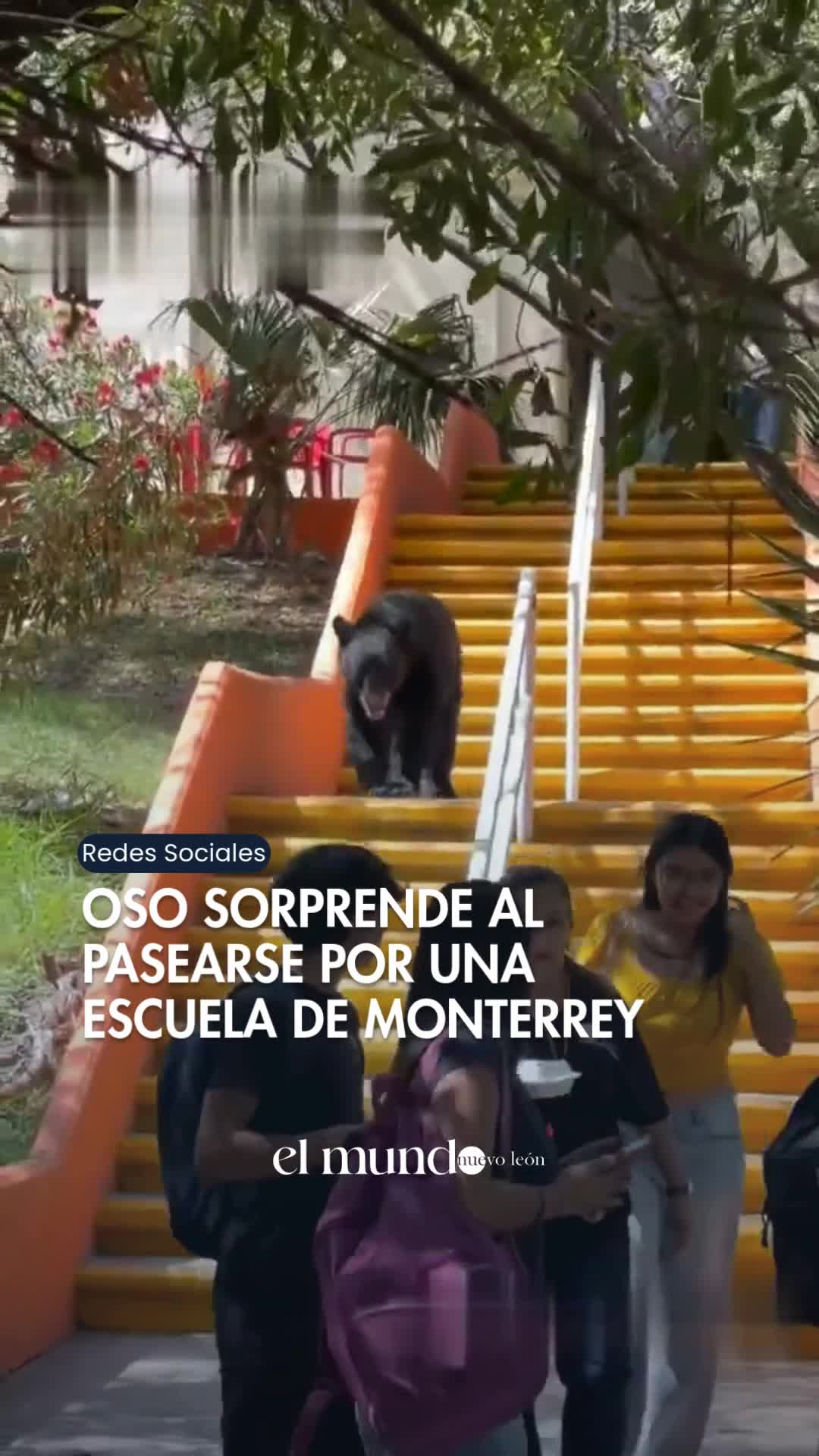 @ElMundo Nuevo León