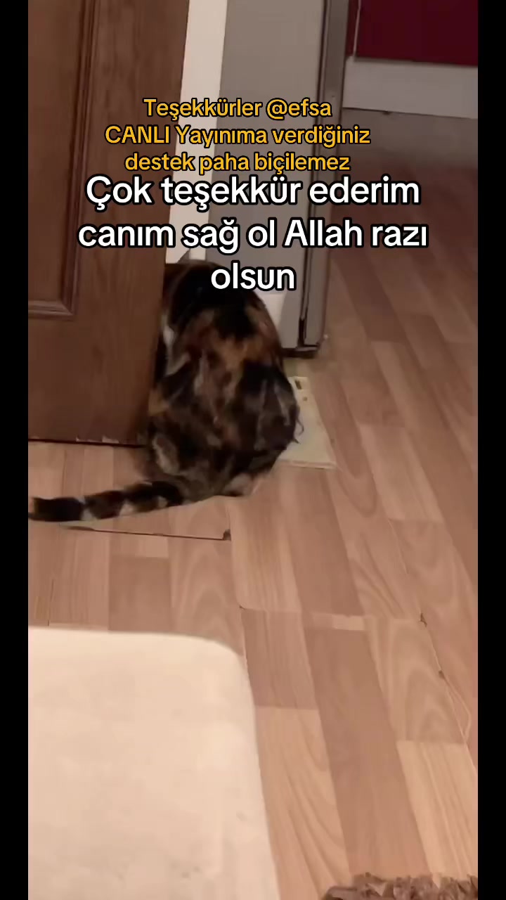 @Gönülünpatileri