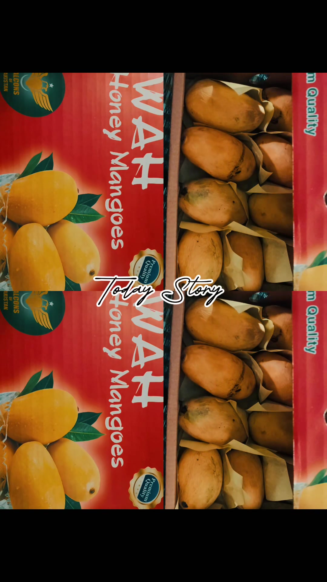 @𝑆𝐴𝐼𝑅𝐴♥𝑹𝑨𝑱𝑷𝑼𝑻