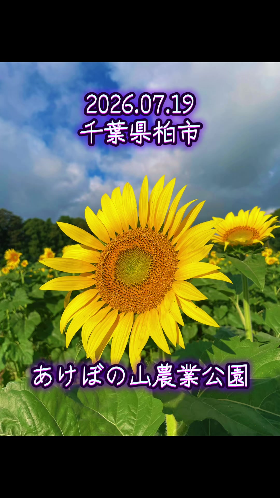 @ちゅっぱチャップス