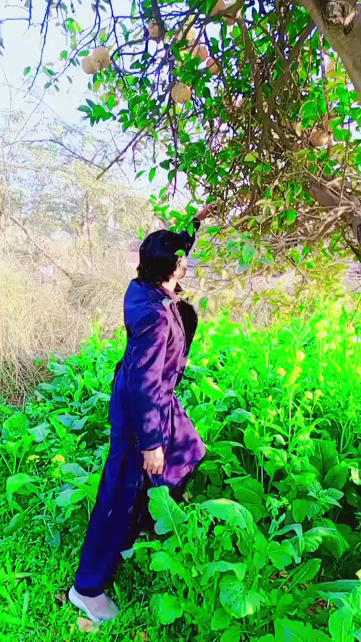 @CHOUDHRY SAHIB