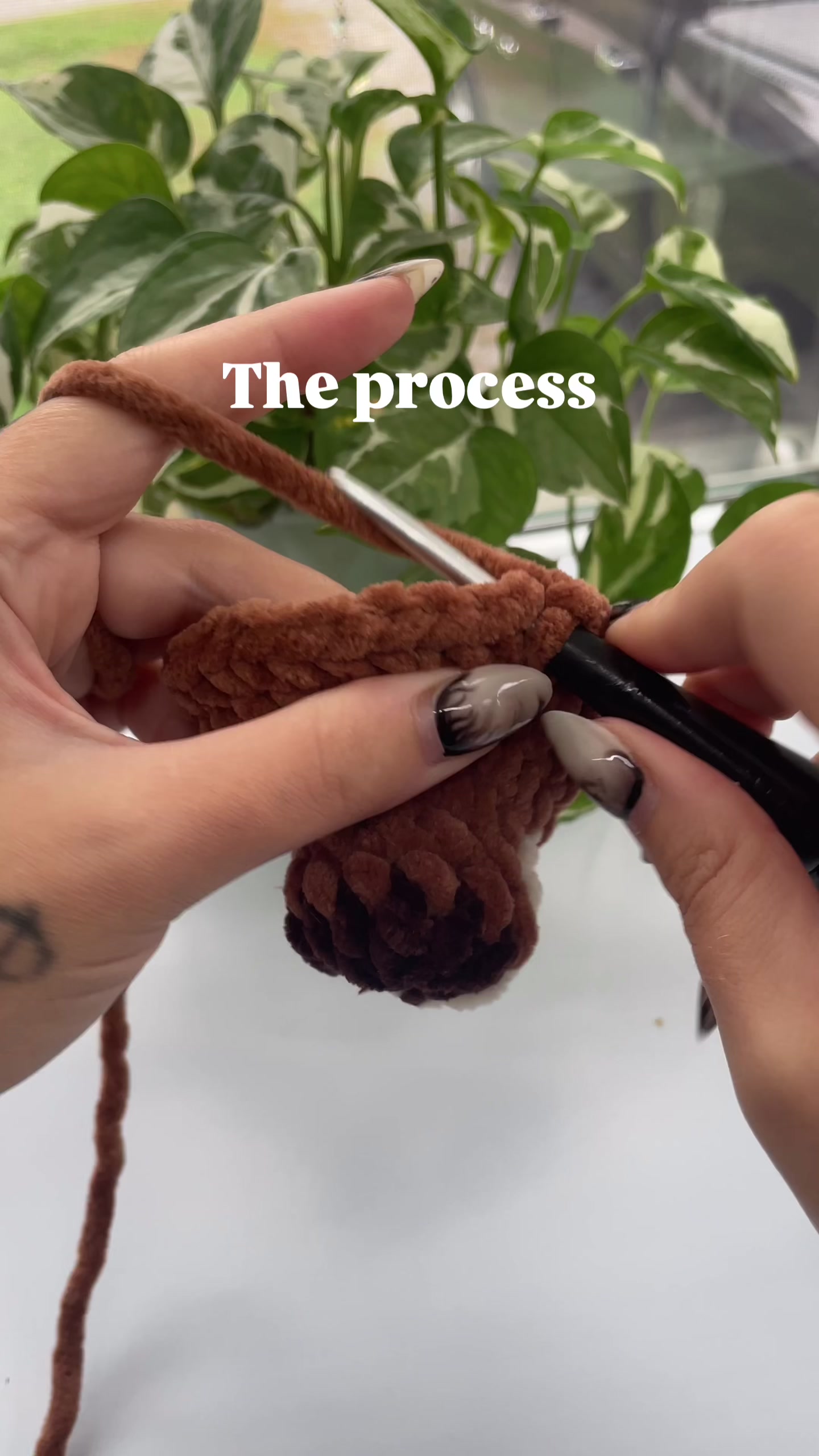 @Zero Gravity Crochet✨