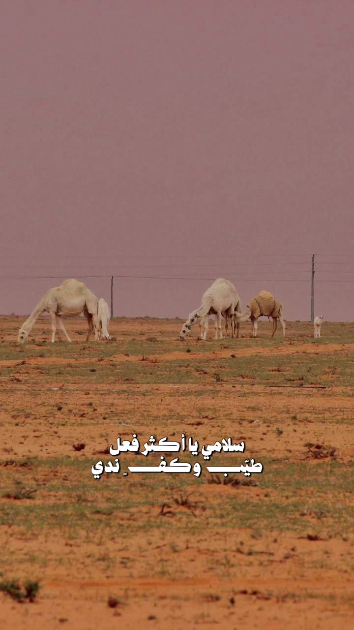 @﮼هدى،الحربي 📸💥
