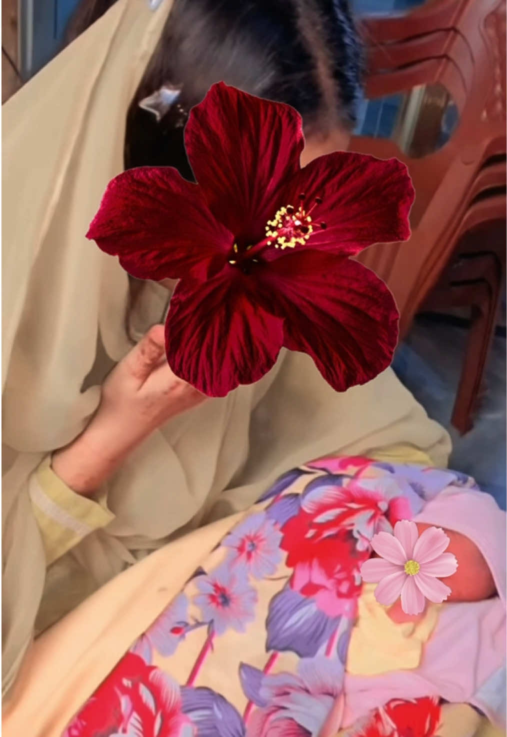 @🦋𝐀𝐬𝐦𝐚 𝐍𝐨𝐨𝐫🦋