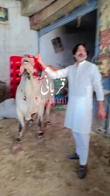 @❤️Yasir Tariq chaudhari ❤️