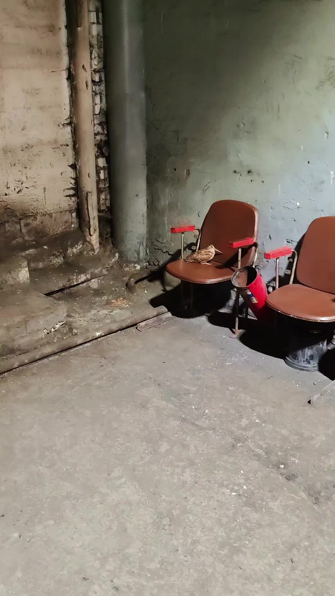 @Евгений Александрович