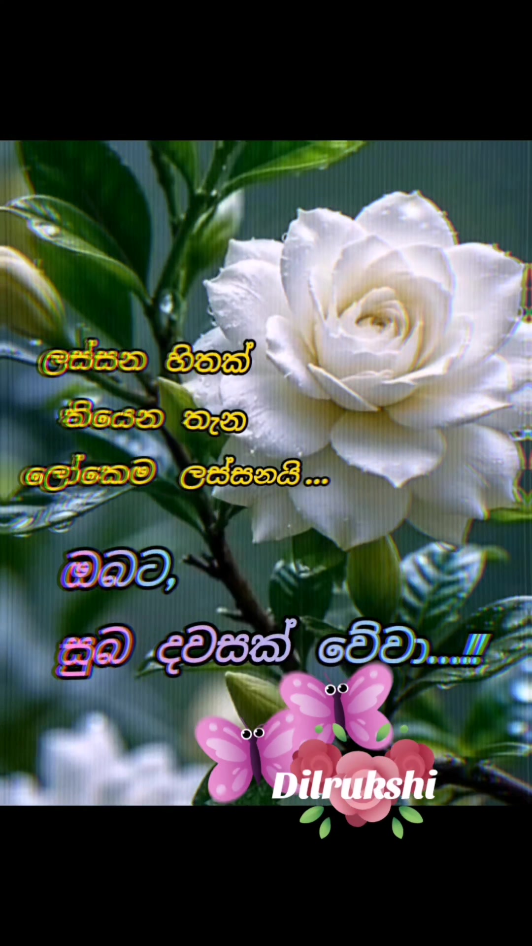 @💞💞Dil💞💞