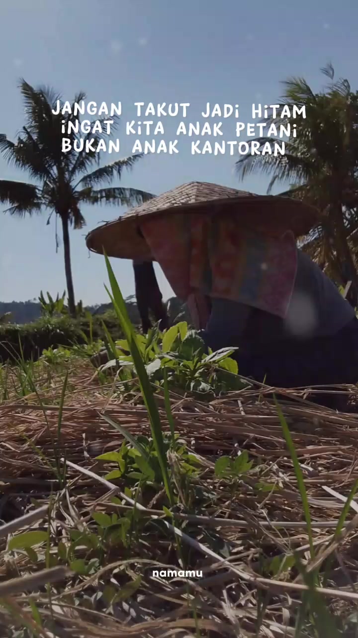 @ayu setiawati